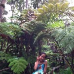 ハワイ島の旅（熱帯雨林のラバチューブ！？）